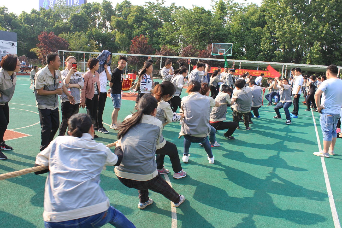 im电竞·(中国)电子竞技平台